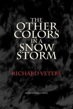 The Other Colors in a Snow Storm - Vetere, Richard