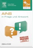 AINS in Frage und Antwort