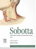 Hals / Atlas der Anatomie des Menschen