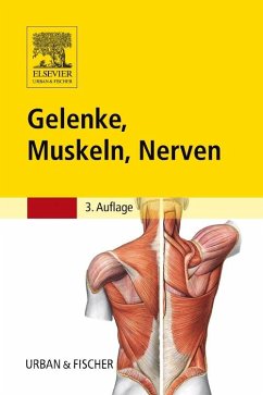 Gelenke, Muskeln, Nerven - Eggers, Reinhard;Otto, Kerstin;Reimann, Susanne