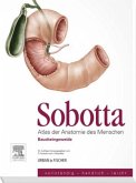 Baucheingeweide / Atlas der Anatomie des Menschen