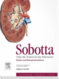 Becken und Retroperitonealraum / Atlas der Anatomie des Menschen - Sobotta, Johannes