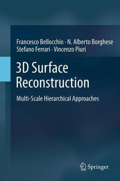 3D Surface Reconstruction - Bellocchio, Francesco;Borghese, N. Alberto;Ferrari, Stefano