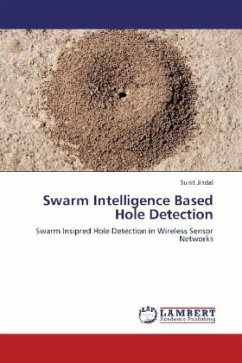 Swarm Intelligence Based Hole Detection - Jindal, Sunit