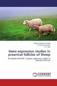 Gene expression studies in preantral follicles of Sheep
