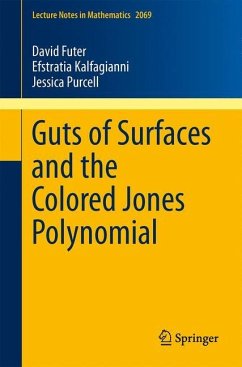 Guts of Surfaces and the Colored Jones Polynomial - Futer, David;Kalfagianni, Efstratia;Purcell, Jessica