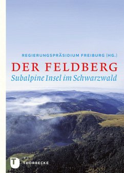 Der Feldberg