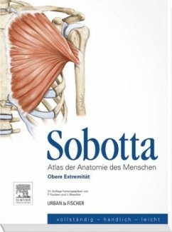 Obere Extremität / Atlas der Anatomie des Menschen - Sobotta, Johannes