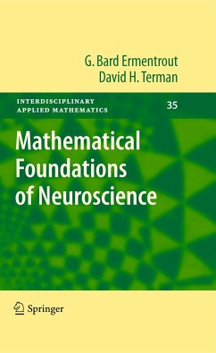 Mathematical Foundations of Neuroscience - Ermentrout, G. Bard;Terman, David H.