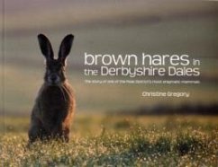 Brown Hares in the Derbyshire Dales - Gregory, Christine