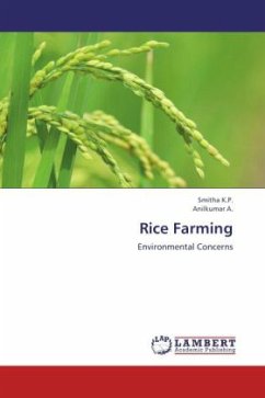 Cover Rice Farming