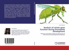 Analysis of viriato gene function during Drosophila Development - Marinho, Joana