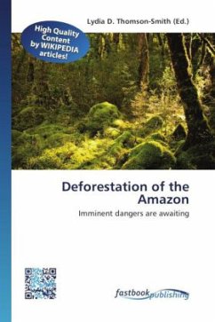 Deforestation of the Amazon