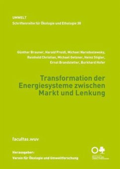 Transformation der Energiesysteme zwischen Markt und Lenkung