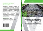 Einfluss von Unterbau und Wasserwegigkeit auf die Gleislagequalität