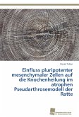 Einfluss pluripotenter mesenchymaler Zellen auf die Knochenheilung im atrophen Pseudarthrosemodell der Ratte