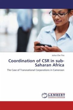 Coordination of CSR in sub-Saharan Africa