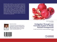 Fertigation Through Low Cost Drip System In Newly Planted Pomegranate - Dhakar, Mahesh Kumar;Kaushik, R. A.