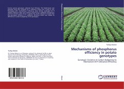 Mechanisms of phosphorus efficiency in potato genotypes - Balemi, Tesfaye