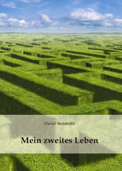 Mein zweites Leben - Steinhübl, David