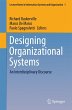 Designing Organizational Systems - Bild 1