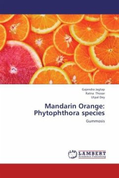 Mandarin Orange: Phytophthora species