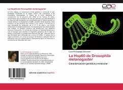 La Hsp60 de Drosophila melanogaster - Perezgasga Ciscomani, Lucía