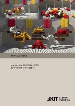 Cover Simulation inkompressibler deformierbarer Körper