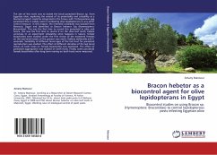 Bracon hebetor as a biocontrol agent for olive lepidopterans in Egypt