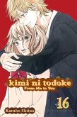 Kimi ni Todoke: From Me to You, Vol. 16 Kimi ni Todoke: From Me to You, Vol. 16