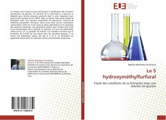 Le 5 hydroxyméthylfurfural - Wendatta Christophe, Malbila