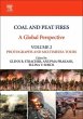 Coal and Peat Fires: A Global... - Bild 1