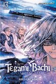 Tegami Bachi, Vol. 13