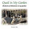 Quail in My Garden - Bild 1