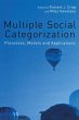 Multiple Social Categorization - Bild 1