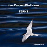 New Zealand bird views