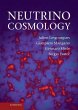 Neutrino Cosmology - Bild 1
