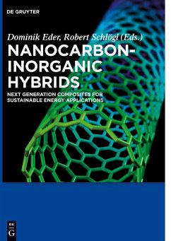 Nanocarbon-Inorganic Hybrids