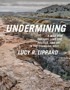 Undermining - Lippard, Lucy R