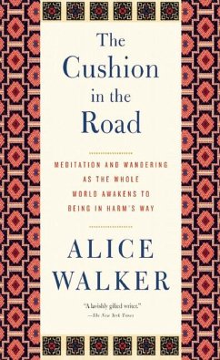 The Cushion in the Road - Walker, Alice