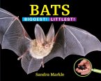 Bats: Biggest! Littlest!