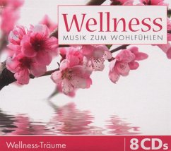 Wellness Träume-Musik Zum Wohlfühlen - Diverse