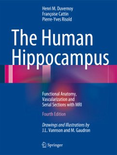 The Human Hippocampus - Duvernoy, Henri M.;Cattin, Francoise;Risold, Pierre-Yves