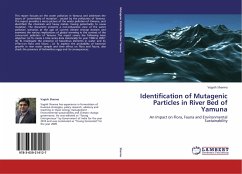 Identification of Mutagenic Particles in River Bed of Yamuna