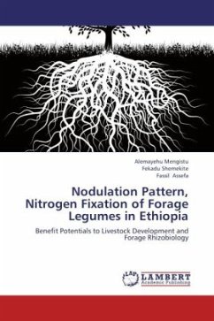 Nodulation Pattern, Nitrogen Fixation of Forage Legumes in Ethiopia - Mengistu, Alemayehu;Assefa, Fassil;Shemekite, Fekadu