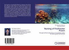 Nursing of Freshwater Prawn