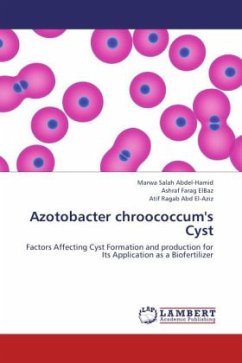 Azotobacter chroococcum's Cyst