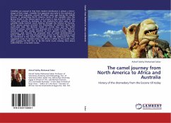 The camel journey from North America to Africa and Australia