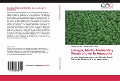 Energía, Medio Ambiente y Desarrollo en la Amazonía