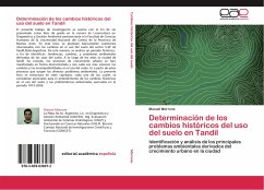 Determinación de los cambios históricos del uso del suelo en Tandil - Morrone, Manuel